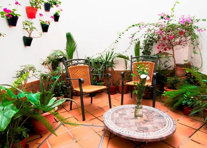 Un Patio Al Sur