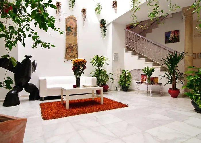Un Patio Al Sur